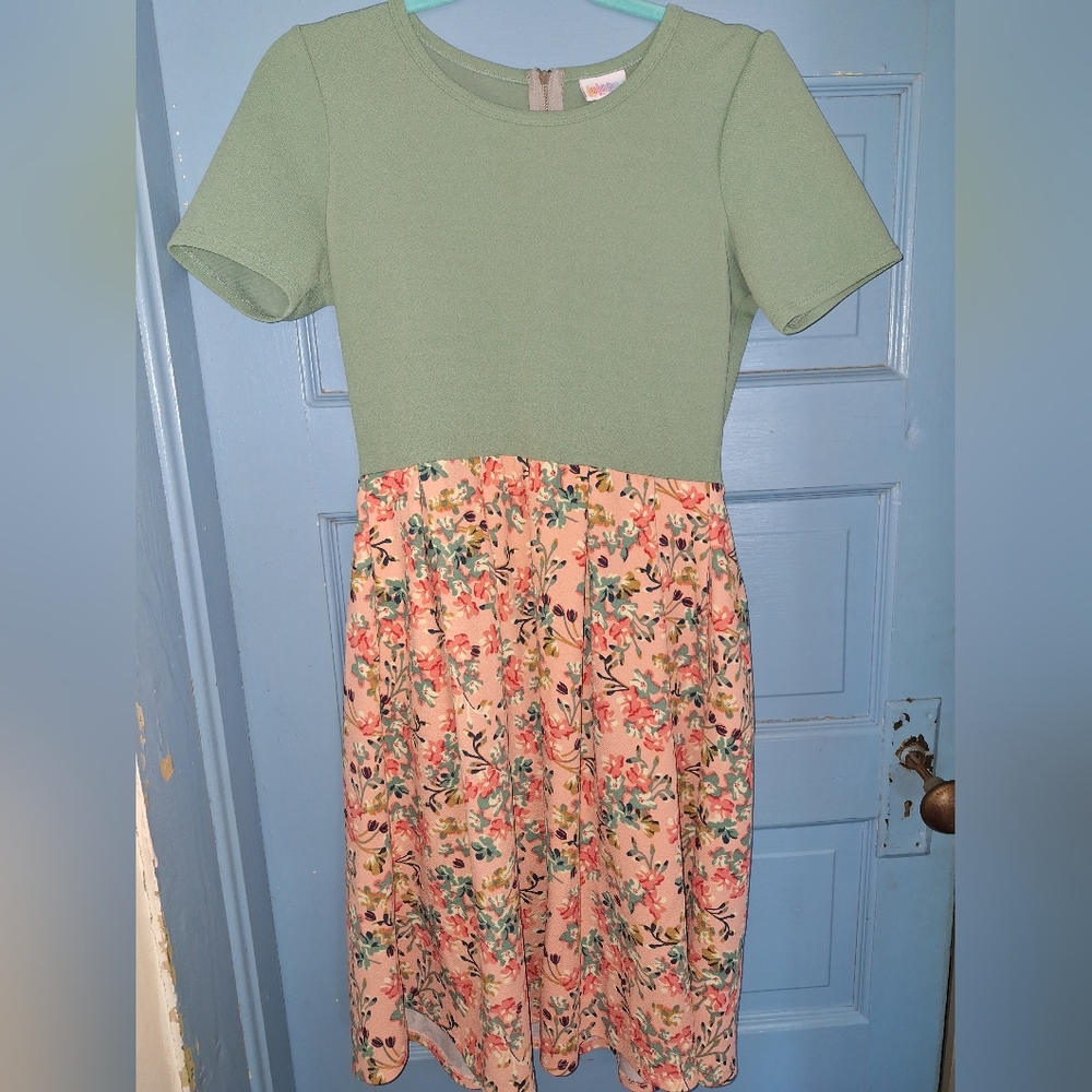 Floral Green and Pink Women Dress